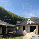 철이네 촌캉스 네이버블로그