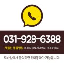 채플린동물병원 이미지