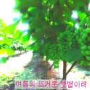 치산농장 이미지