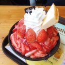 백강약국 | [카페/인하대 후문] 설빙 신메뉴 한딸기설빙/치즈&amp;갈릭 인절미토스트/프리미엄 生딸기 설빙/망고치즈빙수