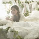 에이브릿지스포츠 스포츠서울