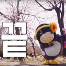 풀빌라식스B 이미지