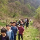 송풍초,용담중 이미지