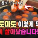 방울토마토 이미지