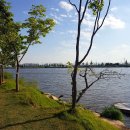 송백다방 이미지