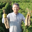 최용순농장 이미지