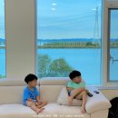 대부도 숙소 대부를 담다 넓고 깔끔한 가족펜션 추천 (8인 숙박 후기)