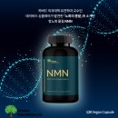 [그린리퍼블릭] NMN 건강식품