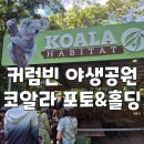 퀸즈렙타일 - 남동구 문화서로4번길 61-22 | 아이랑 골드코스트 자유여행 - 커럼빈 야생공원 & 코알라 홀딩 & 포토(마이리얼트립 9월 할인코드)