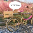 바람새마을의발견축제