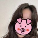 페이브헤어 네이버블로그