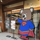국민건강보험남부지사(37274) | [부산 남구] 벤베커 광안리점 : 부드럽고 쫀득한 독일식 수제 브레첼(프레즐)을 즐길 수 있는 광안리 카페
