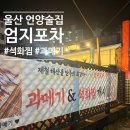 엄지포차 - 울주군 | 울산 언양술집 제철해산물 야장안주맛집 엄지포차 후기
