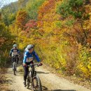 가을동화 이미지