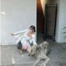 ㅇㅎ) 이대 피아노과 나왔다는 아일릿 원희 사촌언니ㄷㄷㄷㄷ 이미지