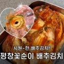 꽃순이네 | 평창꽃순이 생태마을 배추김치 후기 | 사먹는 김치 추천, 믿고 먹는 강원도 김치
