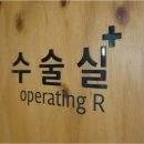 광안동물병원