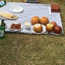 신기수목장 이미지