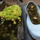 여흥4구 이미지