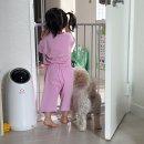 김두채 네이버블로그