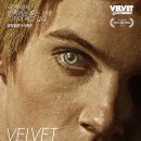 (주)와일드스톤 | 영화: 벨벳 골드마인 (Velvet Goldmine) 정보 출연진 줄거리, 결말,추천 이유,감상평 요약