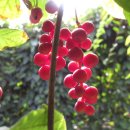 박종훈농장 이미지