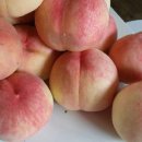 갈촌농장 이미지