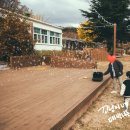 영천 자호천생태학교 : 당일 캠핑 피크닉으로 좋음 잔디밭 최고