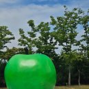 [원주 뚜벅이 여행] 원주가면 꼭 들러야하는 뮤지엄산 방문 후기! (기본권/입장료/할인)