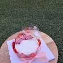 댕냥키친 이미지