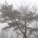 한북정맥 4구간 : 청계산 구간 - 세모를 재촉하는 눈발속에 한해를 정리한다 이미지
