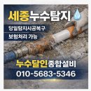 어진동_세종파이낸스3차앞 | 세종시 어진동 거실 바닥의 축축함을 인지하고 누수신고 접수하여 당일 시공과 복구로 빠른조치[시공완료]