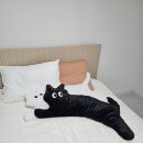 야니소프트 | 침실인테리어 호텔식침대부터 협탁, 암막커튼, 전선몰딩까지
