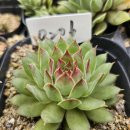 g0206 네이버블로그