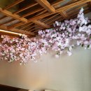 큰나무몰 이미지