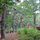 양천고성지 이미지