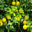 인천동명초등학교 이미지