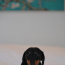 깃든스테이 이미지