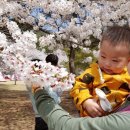 안태농장 이미지