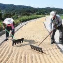 마이산축산 이미지