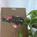 가족여행토퍼 하나로 분위기 완성! 스프링데일 우리가족 토퍼 후기