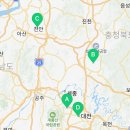 대전고양이분양 퍼피댕 캣 안심분양소 둔산점 이미지