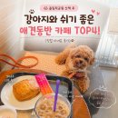 주차14 | 올림픽공원 산책 후 애견동반 카페 4곳 비교, 주차·동선·메뉴 한 번에