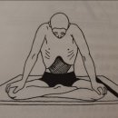 반다요가 이미지