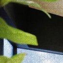 조은유외과의원 이미지