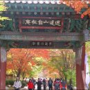 임곡초교 이미지