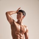 헬스바디 이미지