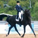 멜버른 승마 이미지