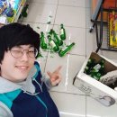 울산오란다 이미지