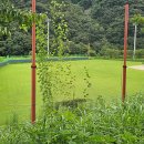 성수면 야구장 이미지